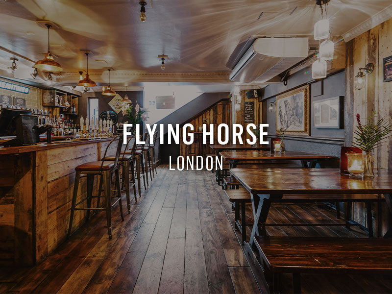 flyinghorse-sb.jpg