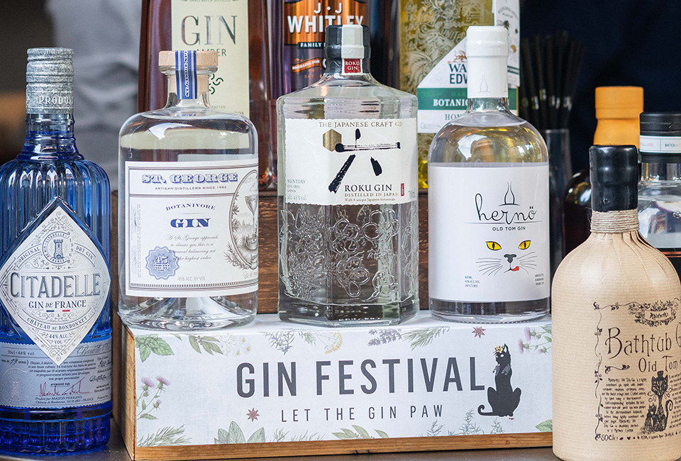 Gin Festival 2018